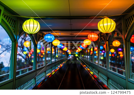 哥拉巴花園越南燈籠夜 [長崎市] 124799475