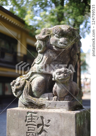 Parent-child guardian dog 124799535