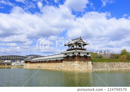Hiroshima Castle in full bloom Hiroshima Castle in full bloom 124799570
