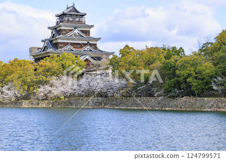 Hiroshima Castle in full bloom Hiroshima Castle in full bloom 124799571