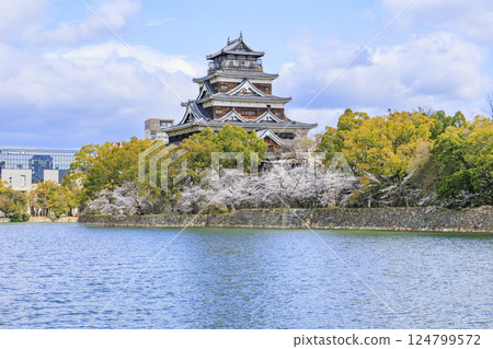 盛開的廣島城 124799572