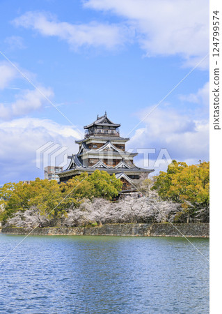 Hiroshima Castle in full bloom Hiroshima Castle in full bloom 124799574