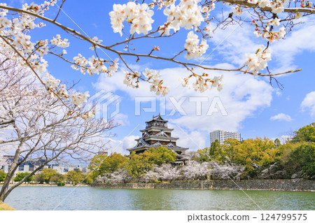 Hiroshima Castle in full bloom 124799575