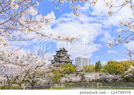 Hiroshima Castle in full bloom Hiroshima Castle in full bloom 124799576