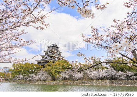 Hiroshima Castle in full bloom Hiroshima Castle in full bloom 124799580