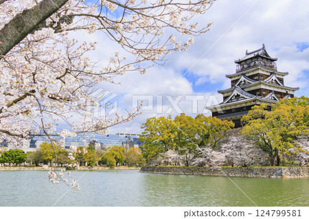 Hiroshima Castle in full bloom 124799581