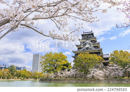 Hiroshima Castle in full bloom 124799583