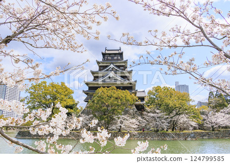 Hiroshima Castle in full bloom Hiroshima Castle in full bloom 124799585