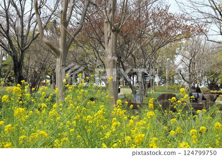 漫步木曾三線國立公園3（岐阜縣海津市） 124799750