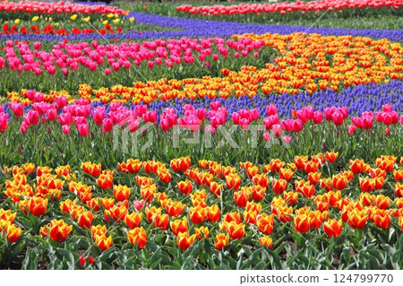 Walking around the Kiso Sansen National Park 15 (Kaizu City, Gifu Prefecture) Walking around the Kiso Sansen National Park 15 (Kaizu City, Gifu Prefecture) 124799770