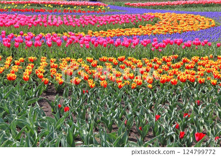 Walking around the Kiso Sansen National Park 16 (Kaizu City, Gifu Prefecture) 124799772