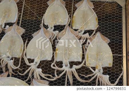 烏賊 墨魚 魷魚 124799831