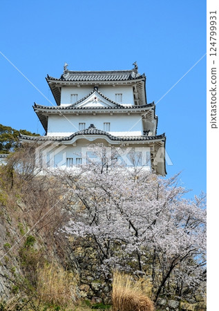 Akashi Castle Kon Yagura 124799931