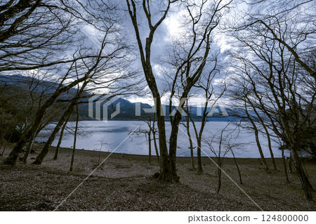 欣賞箱根九頭龍森林的寧靜並眺望蘆之湖的散步路線 124800000