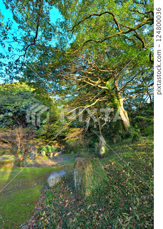 <愛知縣>名古屋城三之丸庭園 <愛知縣>名古屋城三之丸庭園 124800036