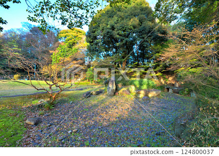 <Aichi Prefecture> Nagoya Castle Sannomaru Garden <Aichi Prefecture> Nagoya Castle Sannomaru Garden 124800037