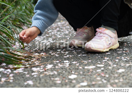 撿起落下的花瓣 124800222