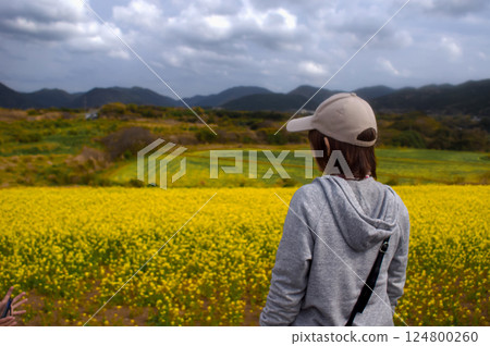 <People> A woman looking at a rapeseed field <People> A woman looking at a rapeseed field 124800260