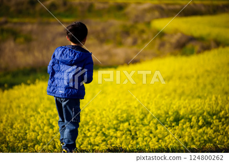 <Flowers and People> A boy taking pictures of rape blossoms with his smartphone 124800262