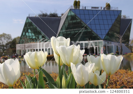 春天漫步木曾三線公園 香南花卉公園 26（愛知縣香南市） 124800351
