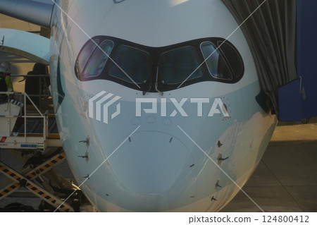 飛機駕駛艙 飛機駕駛艙 124800412