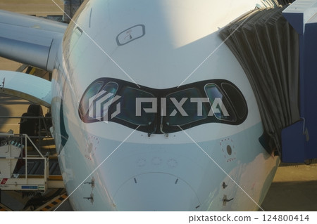 飛機駕駛艙 124800414