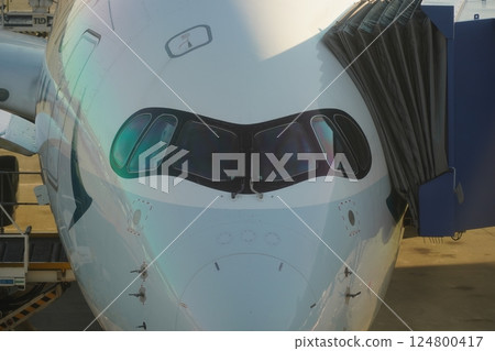 飛機駕駛艙 124800417