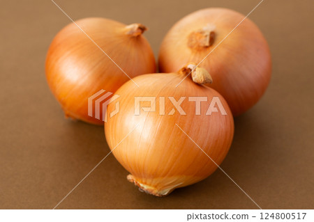 onion  124800517