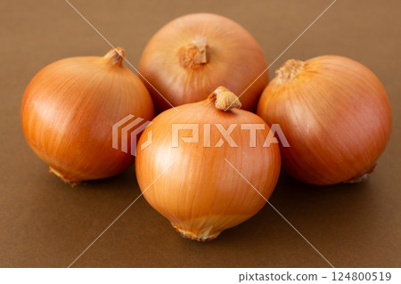 onion  124800519