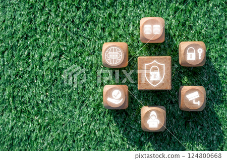 Wooden blocks with privacy icons on grass, symbolizing data security and personal information protection. 124800668