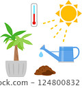 室內植物與陽光、溫度、水、土壤的圖像 124800832