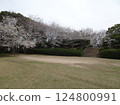 Cherry blossom season photos at Ebiyama Park in Ebiyama, Saeki Ward, Hiroshima City Cherry blossom season photos at Ebiyama Park in Ebiyama, Saeki Ward, Hiroshima City 124800991