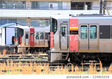 [JR西日本] 227系0～Red Wing～、227系500～Urara～（山陽本線：絲崎站） 124801010