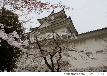 Spring stroll along the Narrow Road to the Deep North, 29 (Ogaki City, Gifu Prefecture) Spring stroll along the Narrow Road to the Deep North, 29 (Ogaki City, Gifu Prefecture) 124801141