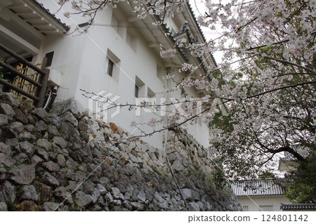 Spring stroll along the Narrow Road to the Deep North, 28 (Ogaki City, Gifu Prefecture) 124801142