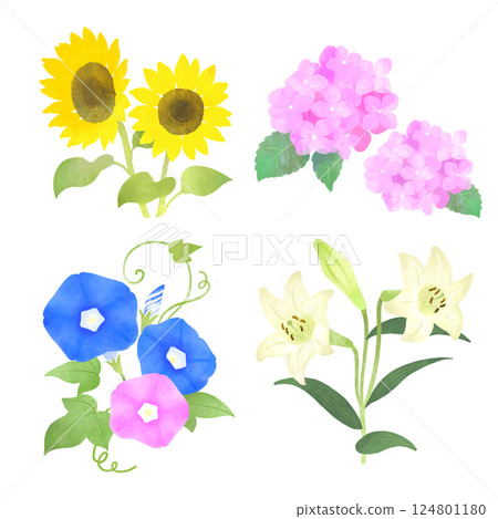 日本夏季花卉插圖集:向日葵、繡球花、百合花、牽牛花 日本夏季花卉插圖集:向日葵、繡球花、百合花、牽牛花 124801180