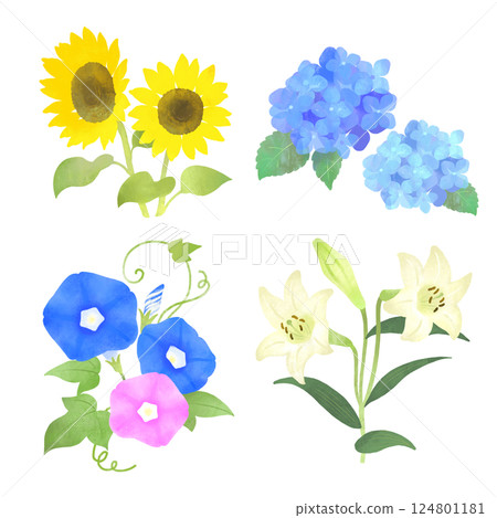 日本夏季花卉插圖集：向日葵、繡球花、百合花、牽牛花 124801181