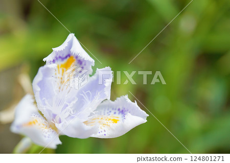 等到薩沙 124801271