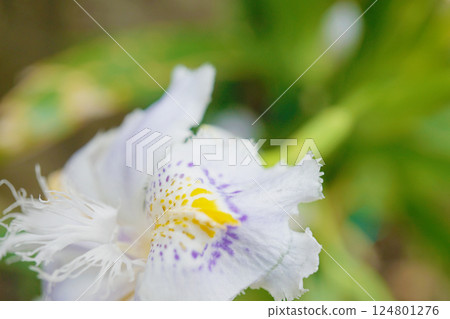 等到薩沙 124801276