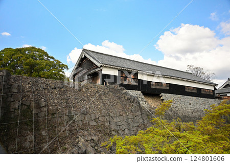Kumamoto Castle Kumamoto Castle 124801606