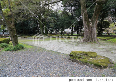 Spring stroll through Gokoku Shrine 8 (Nagara Riverside, Gifu City, Gifu Prefecture) Spring stroll through Gokoku Shrine 8 (Nagara Riverside, Gifu City, Gifu Prefecture) 124801725