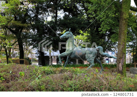 Spring stroll through Gokoku Shrine 14 (Nagara Riverside, Gifu City, Gifu Prefecture) Spring stroll through Gokoku Shrine 14 (Nagara Riverside, Gifu City, Gifu Prefecture) 124801731