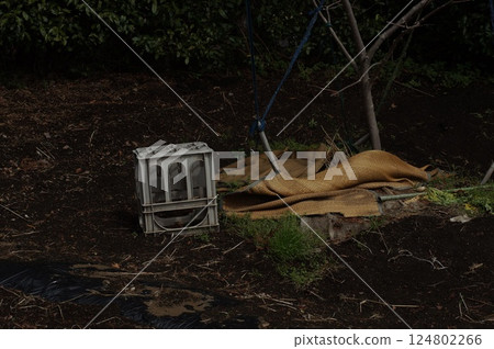 A corner of the field A corner of the field 124802266