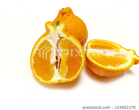 來自愛媛郡的凸頂芋 來自愛媛郡的凸頂芋 124802276