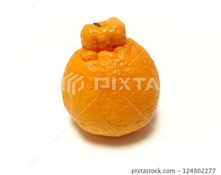 Dekopon from Ehime Prefecture Dekopon from Ehime Prefecture 124802277