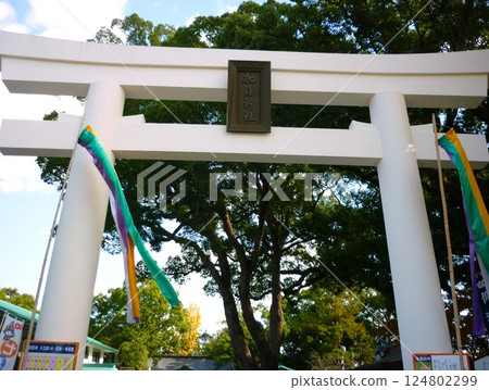 Torii gate of Kato Shrine on the grounds of Kumamoto Castle 124802299