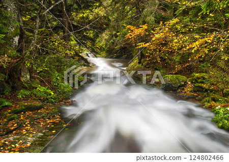 Canyon of Waterfalls, Rhodope Mountains, Bulgaria, Europe. Long exposure. Canyon of Waterfalls, Rhodope Mountains, Bulgaria, Europe. Long exposure. 124802466