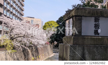 Cherry blossoms in full bloom along Shinbanbashi and the Shakujii River Cherry blossoms in full bloom along Shinbanbashi and the Shakujii River 124802482