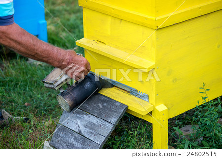 Beekeeper's hands fumigate a beehive - selective focus. Beekeeper's hands fumigate a beehive - selective focus. 124802515