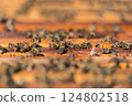 Close up of bees on honeycomb in apiary - selective focus, copy space. 124802518